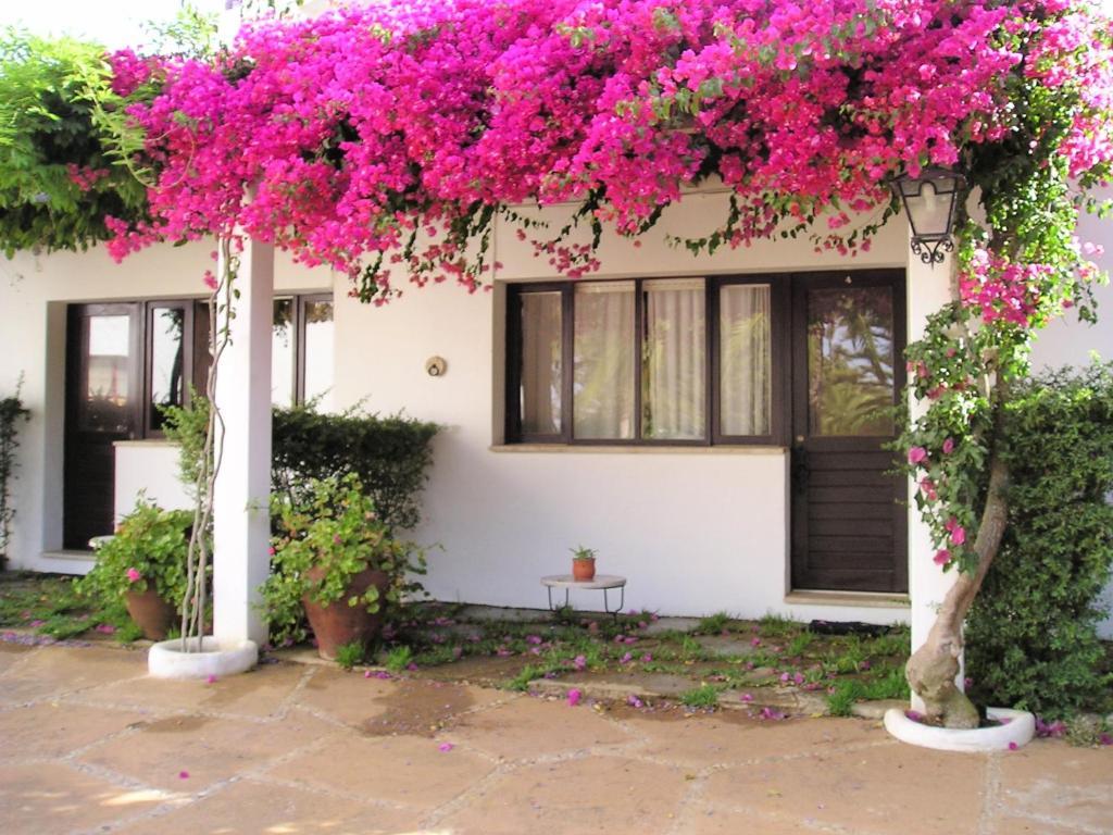 Quinta Da Ameijeira Lagos Rom bilde